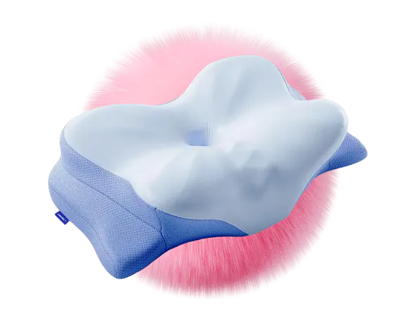 Derila Ergo Pillow