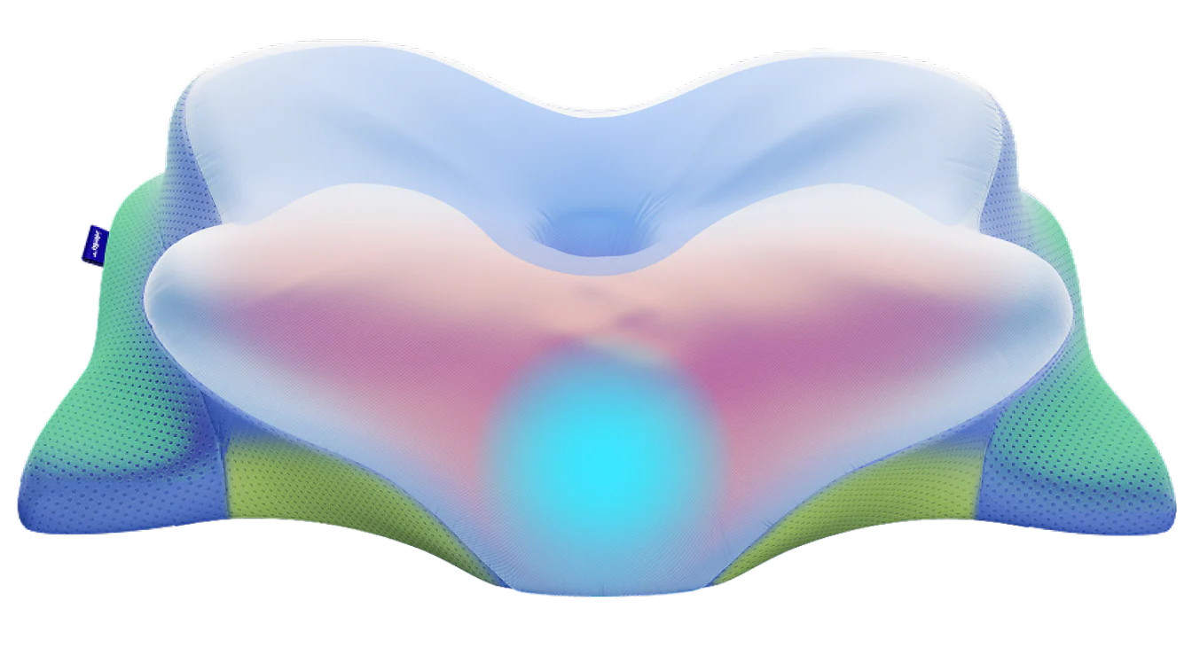 Derila Ergo Pillow official site